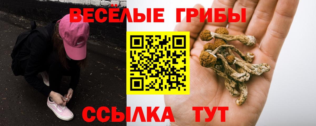 Кстово  Галлюциногенные грибы мицелий  Галлюциногенные грибы мухоморы  Вход с VPN 